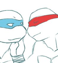 tortue