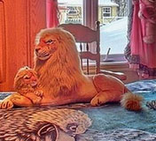 lion