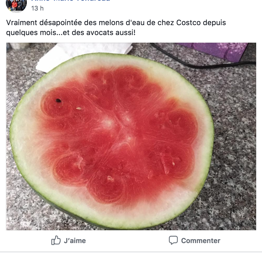 ha le groupe accro du costco la clique du plateau